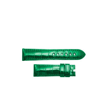 PNMXE0KFP3 - Strap alligator green